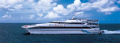 Bali Cruise TOur