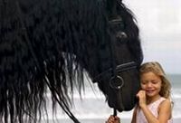 Bali Horse Kids