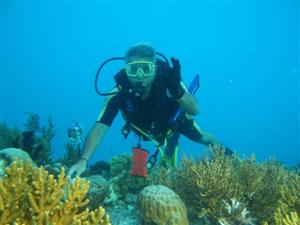 Diving in Bali, Bali Tour Service