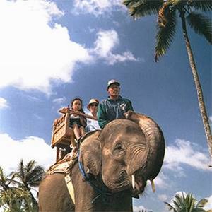 Bali Elephant Riding